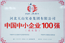 中(zhōng)國中(zhōng)小(xiǎo)企業100強（成長型）